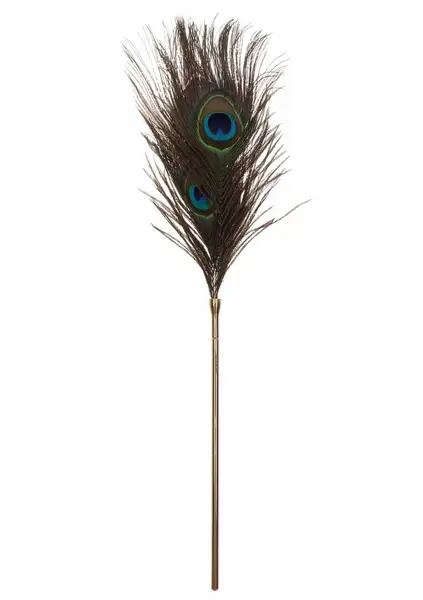 TABOOM Dona Peacock Tickler Rose Gold Ultra-Soft Feather Accessory
