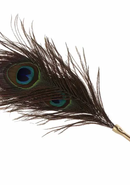 TABOOM Dona Peacock Tickler Rose Gold Ultra-Soft Feather Accessory