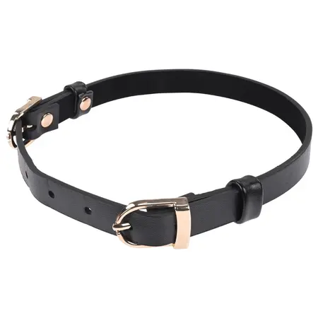 Sportsheets S&M Double Buckle Day Collar Black Adjustable Gold Detail