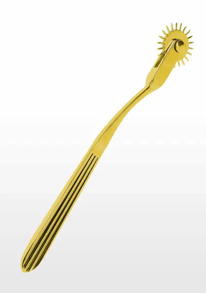 TABOOM Wartenberg Wheel Precision Sensory Stimulation Tool Silver