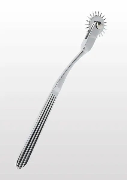 TABOOM Wartenberg Wheel Stainless Steel Sensory Stimulation Tool
