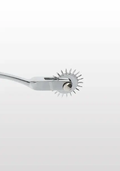 TABOOM Wartenberg Wheel Stainless Steel Sensory Stimulation Tool
