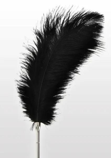TABOOM Feather Tickler Elegant Nickel-Free Handle Black Feathers