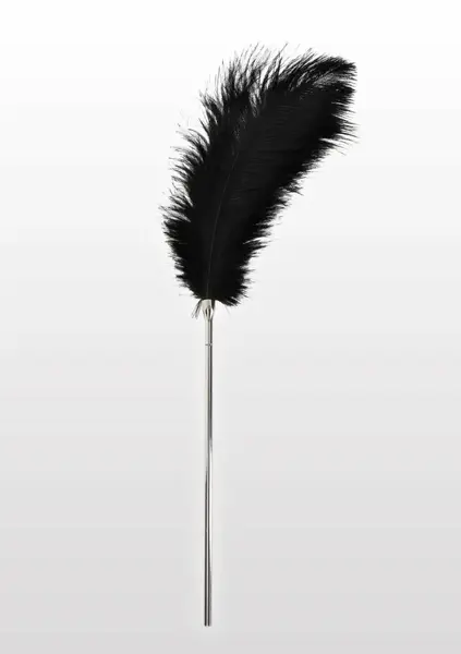 TABOOM Feather Tickler Elegant Nickel-Free Handle Black Feathers