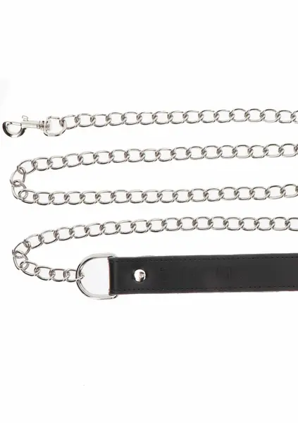 TABOOM Chain Leash - Durable Metal Lead with Comfortable Handle