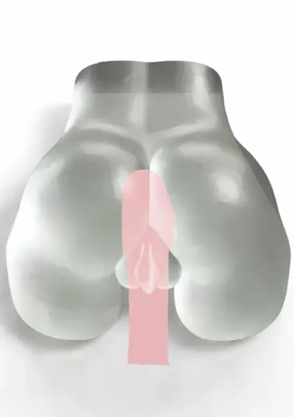 Hidden Desire Bangers Clear Intimate Machine Transparent Love-Skin 17cm