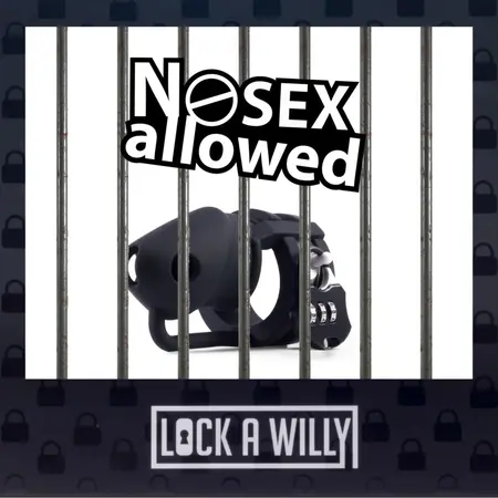 Rimba Lock-a-Willy Adjustable Intimate Chastity System with Number Lock