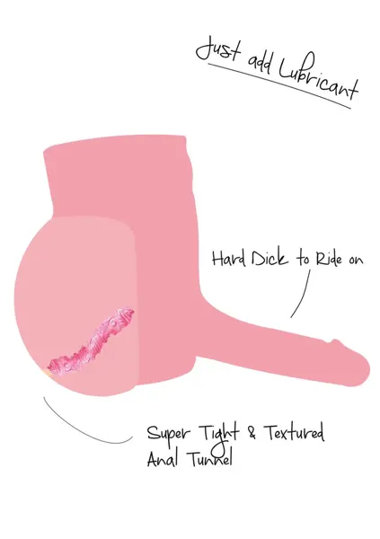 HIDDEN DESIRE BANGERS Ride My Hard Dick 4.5 kg Anatomical Model