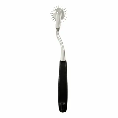 ElectraStim Single Pinwheel Electro-Stimulation Accessory, Metal