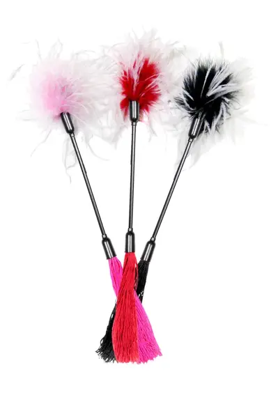 Sportsheets S&M Whip & Tickle Dual-Sided Intimate Accessory 40cm Black/White