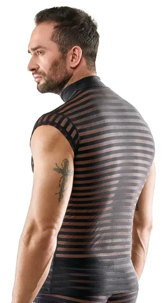 Svenjoyment Shirt 2XL Black Transparent Striped, Stand-Up Collar