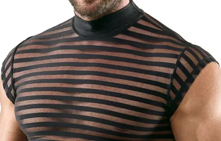 Svenjoyment Shirt 2XL Black Transparent Striped, Stand-Up Collar