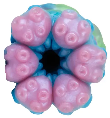 Beasty Cocks Cecaelia Intimate Machine Liquid Silicone 16.2cm Blue