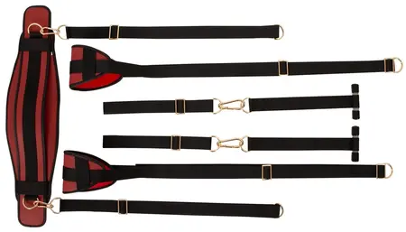 Bad Kitty Door Swing BK-11 - Adjustable Luxury Door System, Black/Red