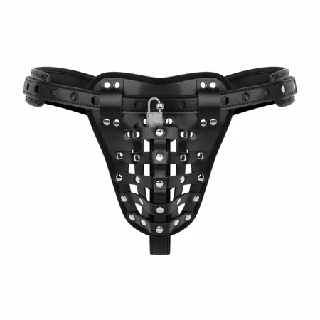 Bedroom Fantasies Chastity Cage Panty Black - Adjustable Harness System