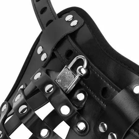 Bedroom Fantasies Chastity Cage Panty Black - Adjustable Harness System
