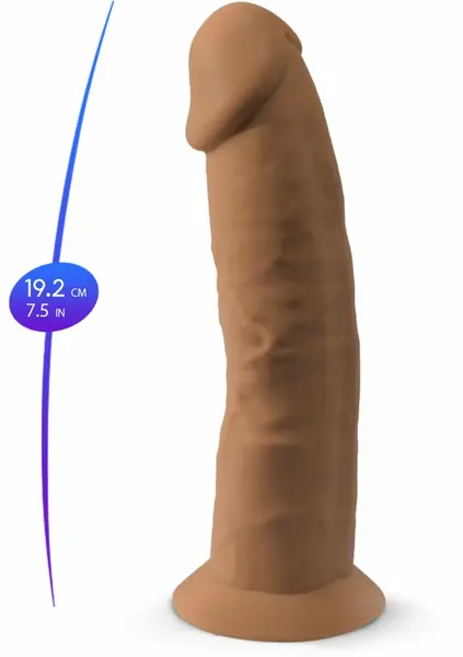 Silex-D Model 2 7.5