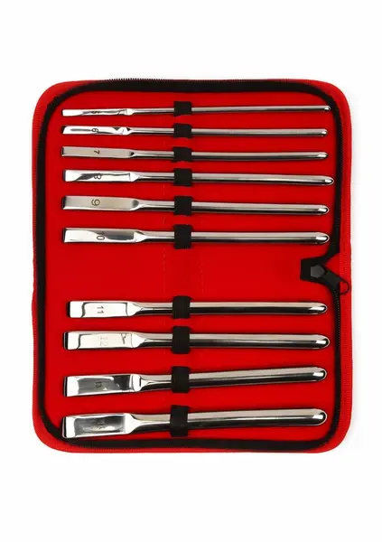 Mr. Steel Single-End Dilator Set 10 pcs Stainless Steel Precision Kit