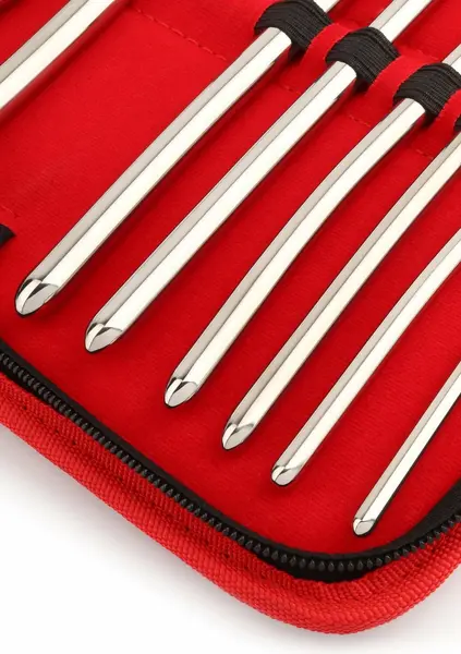 Mr. Steel Single-End Dilator Set 10 pcs Stainless Steel Precision Kit