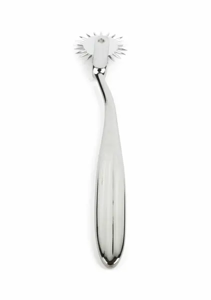 Mr. Steel Single Pin Wheel Stainless Steel Sensory Tool Ergonomic Grip