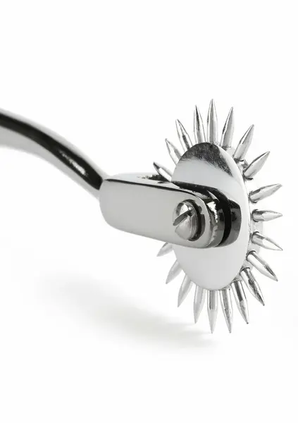 Mr. Steel Single Pin Wheel Stainless Steel Sensory Tool Ergonomic Grip