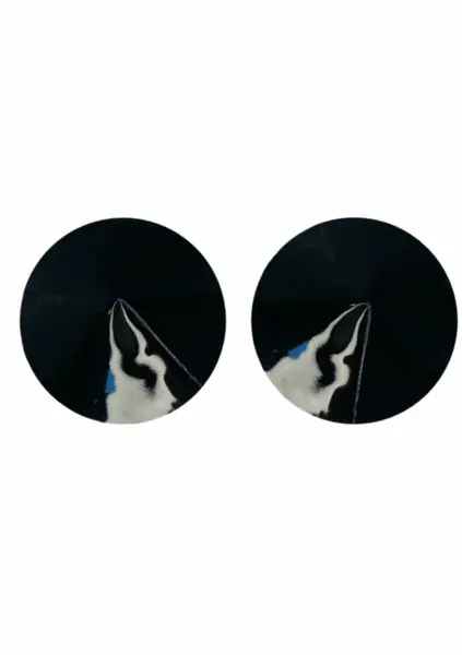 Kinky Diva Nipple Covers Glossy Reusable Adhesive Pasties