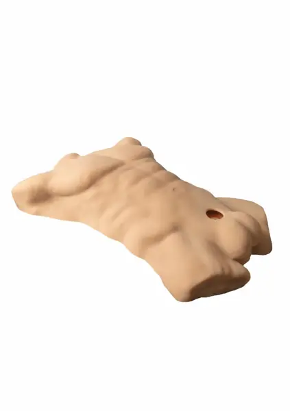 Silex-D Torso Large Silicone Model 7