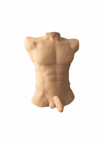 Silex-D Torso Large Silicone Model 7