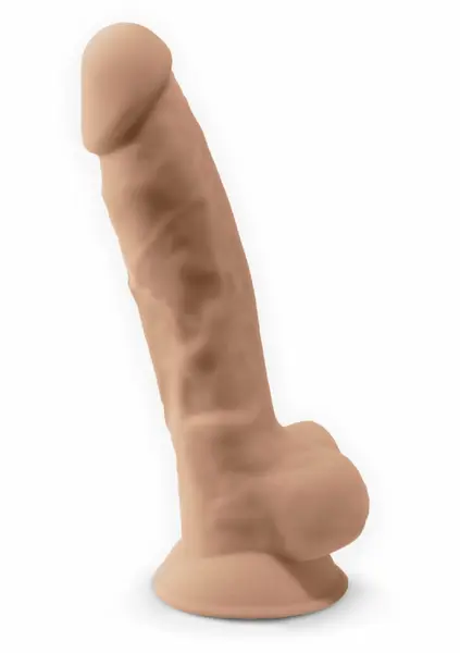 Silex-D Model 1 9