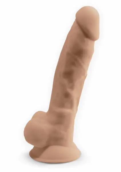 Silex-D Model 1 9