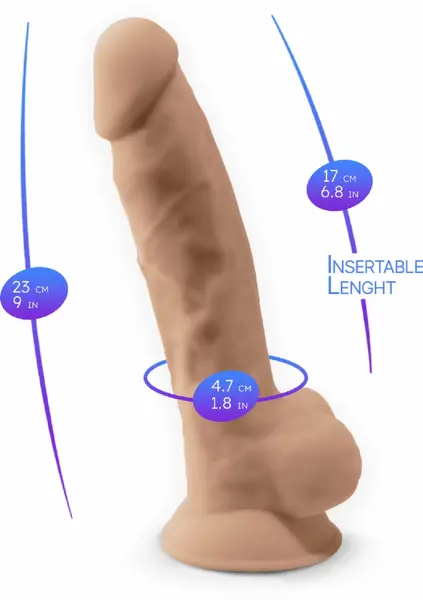 Silex-D Model 1 9
