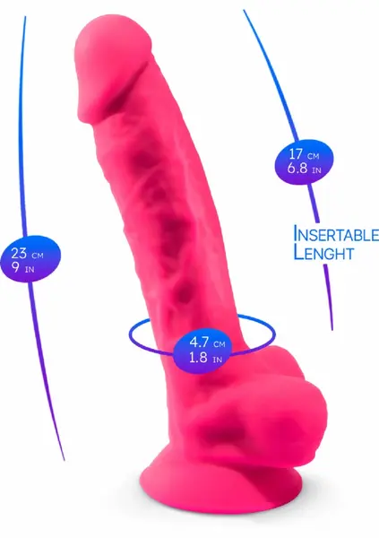 Silex-D Model 1 9