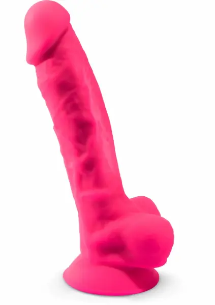 Silex-D Model 1 9