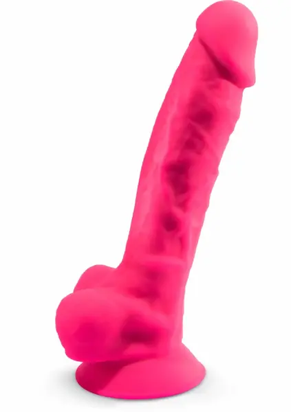 Silex-D Model 1 9