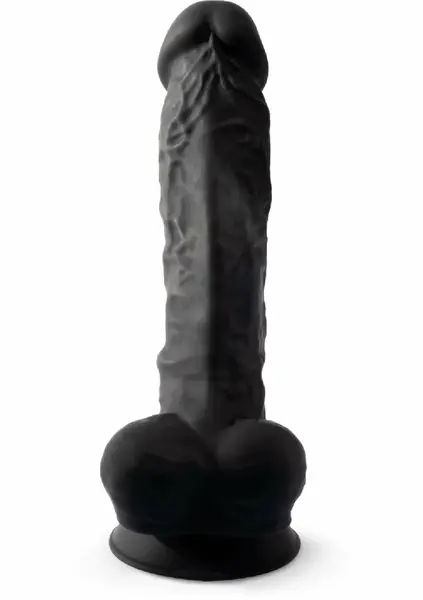 Silex-D Model 1 9