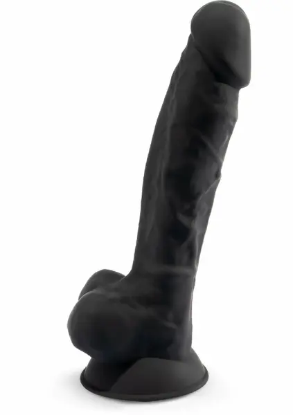 Silex-D Model 1 9