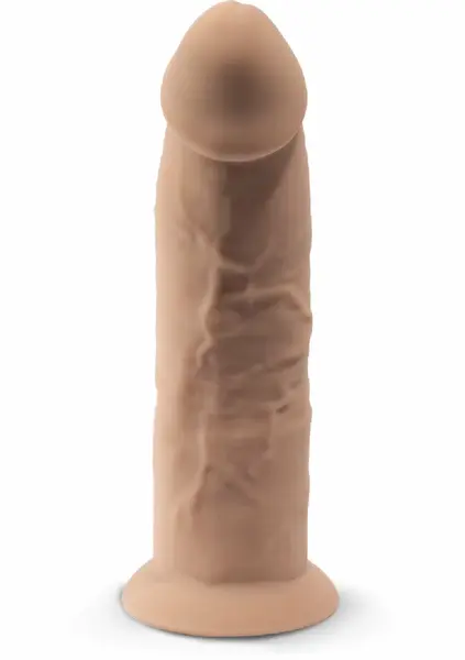 Silex-D Model 6