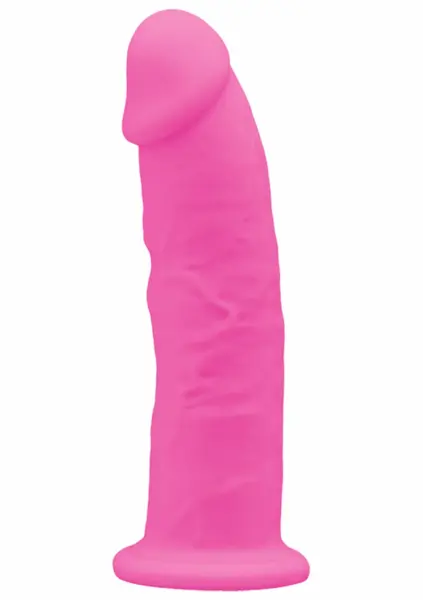Silex-D Model 6