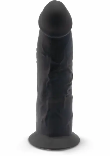 Silex-D Model 6