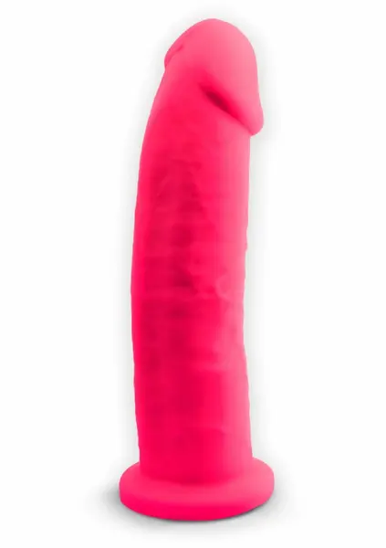 Silex-D Model 2 9