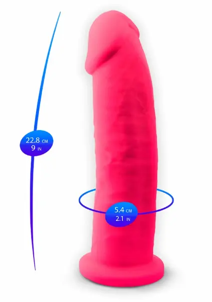 Silex-D Model 2 9