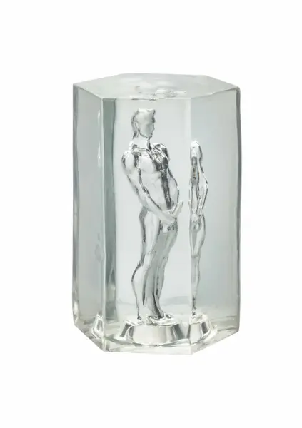 Guys Guys Guys Romeo Transparent Compact Intimate Device