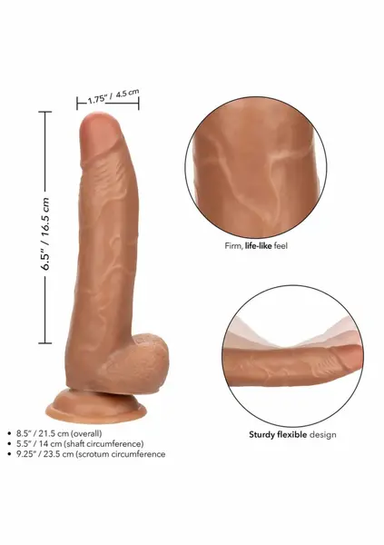 Working Stiff The CEO - Anatomical Model with Suction Cup, Beige, 20 cm