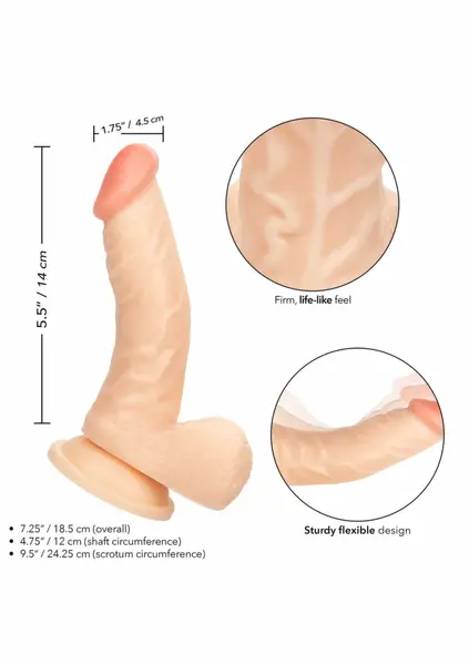 Working Stiff The Doctor Anatomical Model with Flexible System 20 cm