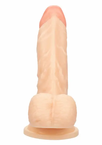 Working Stiff The Doctor Anatomical Model with Flexible System 20 cm