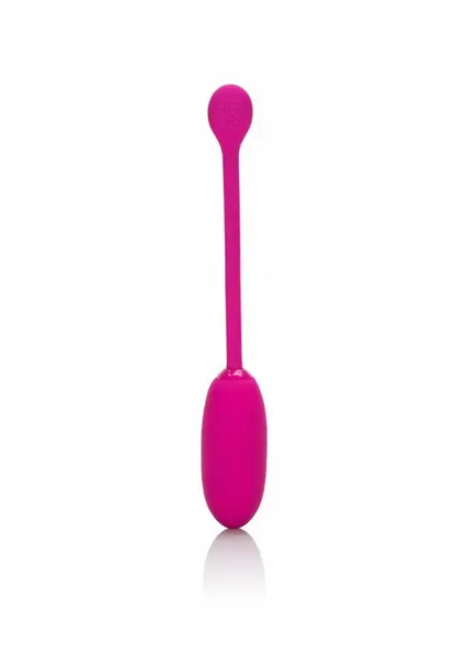 CalExotics Rechargeable Kegel Ball Advanced Silicone 12 Modes Purple