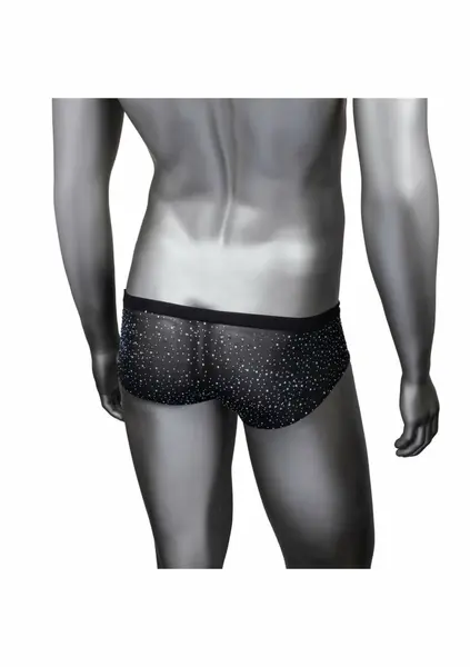 CalExotics Radiance Classic Briefs Black Mesh Rhinestone Accents