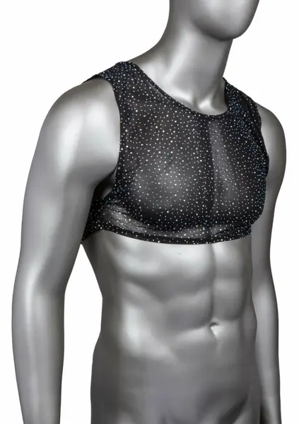 CalExotics Radiance Crop Top by Radiance - Mesh Design & Rhinestone Accents