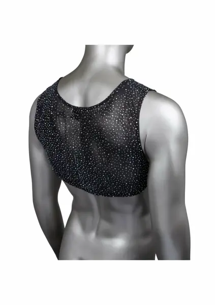 CalExotics Radiance Crop Top by Radiance - Mesh Design & Rhinestone Accents