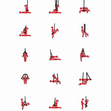 HIDDEN DESIRE Extreme Anchor Lovers Intimate Suspension Swing 150kg